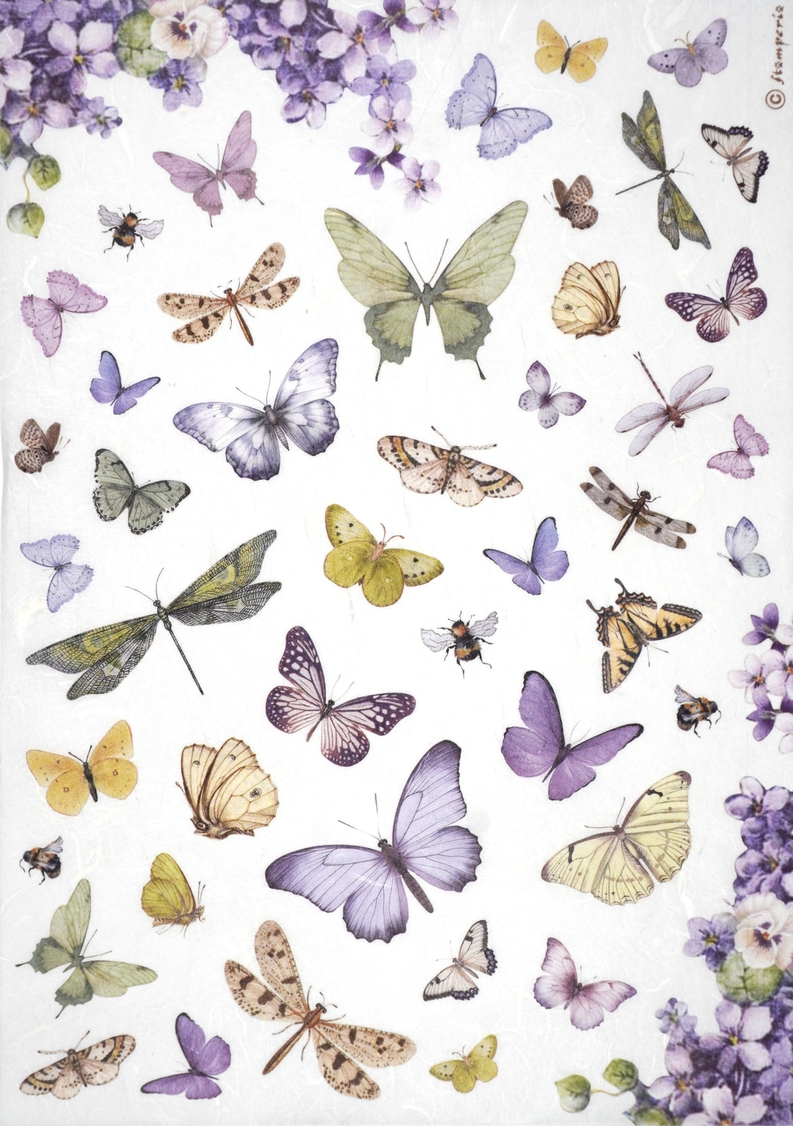 Stamperia A4 Rice Paper for Decoupage - Butterflies - DFSA4891