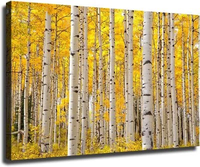 Aspen Trees in Colorado Beautiful Autumn Poster Wall Painting Canvas Painting