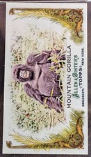 2011 Topps Allen & Ginter Baseball 19