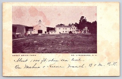Antique New Hampshire Postcard Sweet Brier Farm So. Lyndeboro 1900s