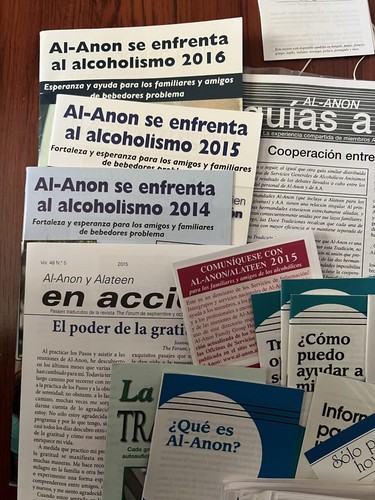 Lot - Alanon information (newcomer, bookmarks) information in Spanish - NEW - Picture 2 of 4