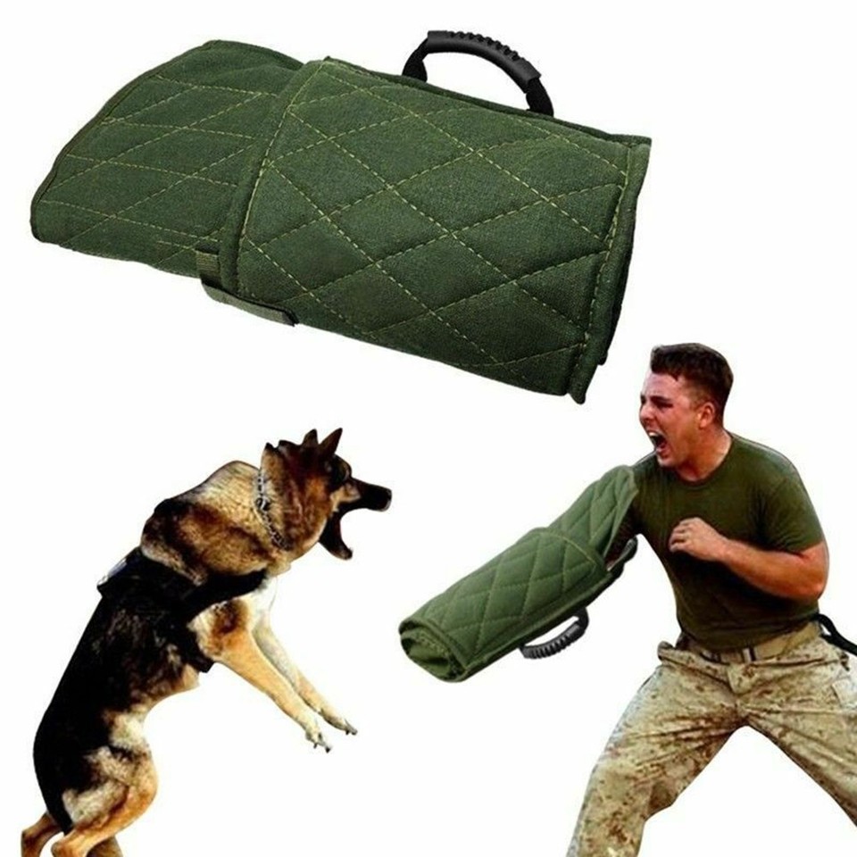 Manicotto professionale per cani di grossa taglia, attrezzatura per l'agilità per addestramento del cane, protezione per braccio+kit in pelle PU (manica per cuccioli