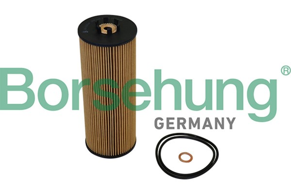 Borsehung ÖLfilter B10544 Filtereinsatz FüR VW Passat B5 3B3 Variant 3B6 TDI A6-image