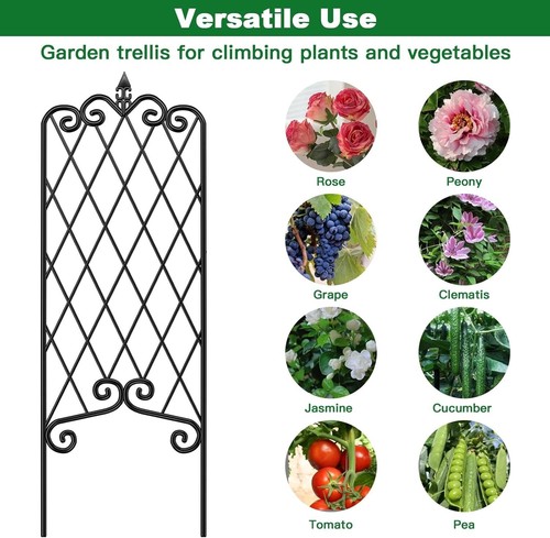 Weather-Resistant Metal Trellis Set | Ideal for Lush Vertical Gardens & Fencing - Picture 8 of 8