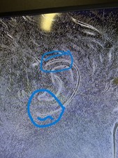 2004-D Roosevelt Dime "Double ear" error