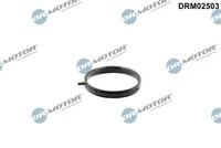 Dr.Motor Automotive Dichtung, KüHlmittelrohr DRM02503 FüR BMW