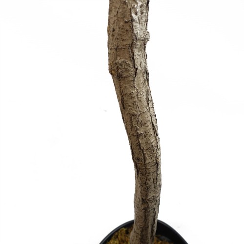 Olivo Artificial Grande 180cm Aspecto Natural con Tronco de Madera - Imagen 6 de 6