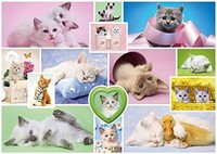 Schmidt Spiele Puzzle 58230 Puzzle 1.000 Teile, Schmusekatzen