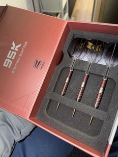 Stephen Bunting Swiss Point Darts 95K 23g Darts Target