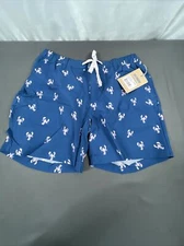 NWT Chubbies The Claw Of The Lands 6” The Unplug Short Medium