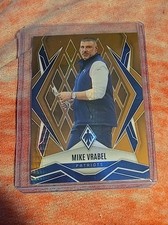 2025 Panini Phoenix Mike Vrabel bronze parallel 29/50 NEW ENGLAND PATRIOTS 