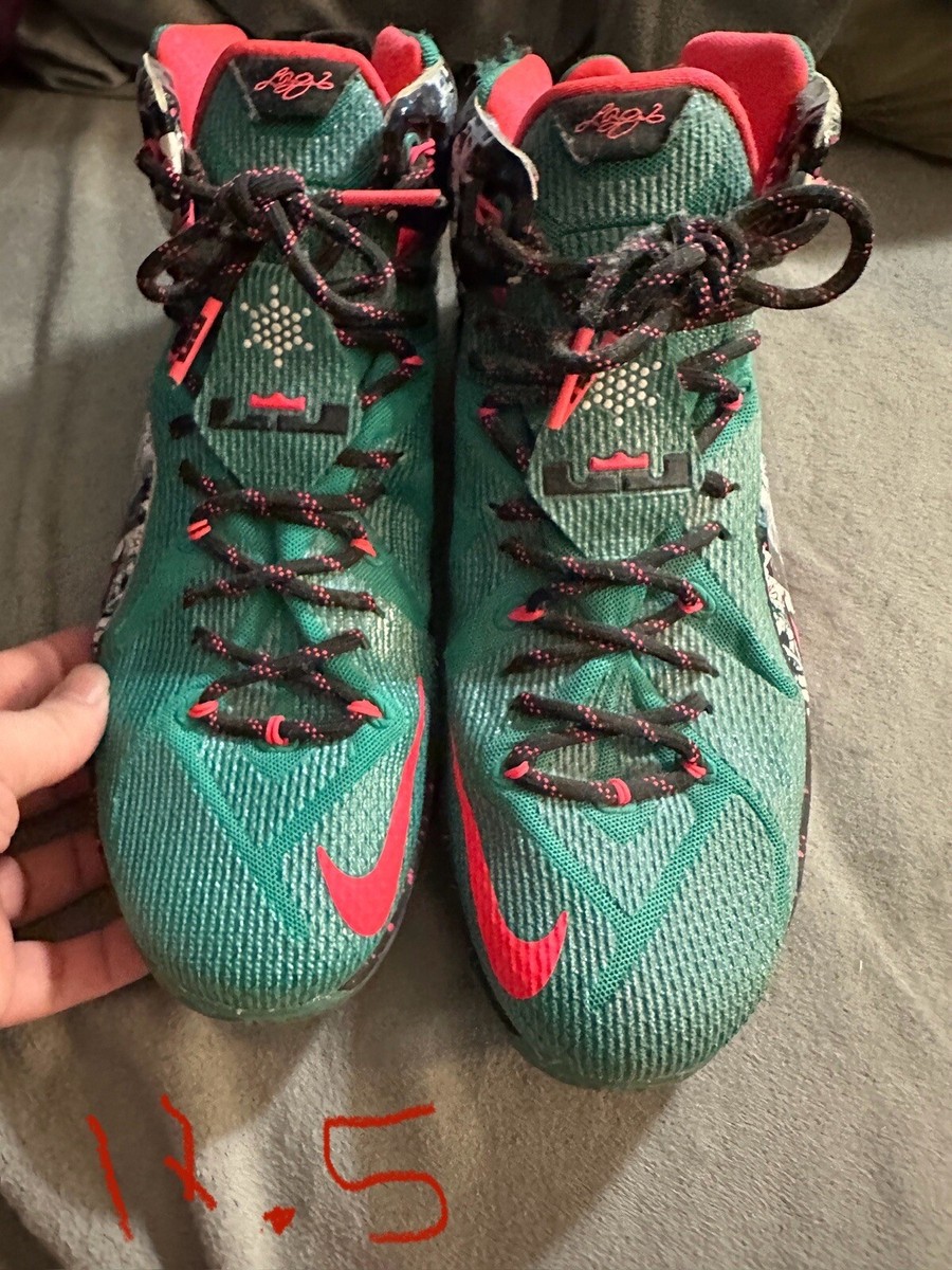 ナイキNike レブロン12 クリスマス限定 AKRON BIRCH ジャンク Size 11.5 - Nike LeBron 12 Xmas Akron Birch | eBay