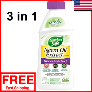 Best of Vegetable oil masturbation safe Lesbian licking there boobs