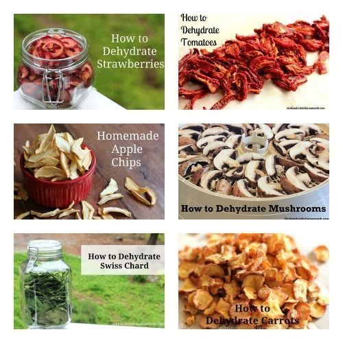 Food Dehydrator Cookbook 19 Books CD Bible Recipes Excalibur Ronco