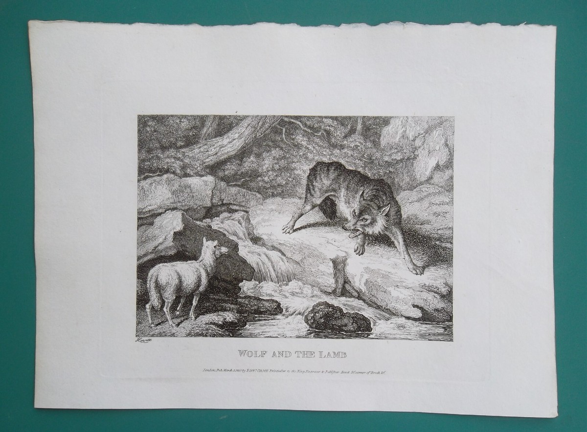 【Werbung vintage 】Aesop AESOP FABLES Wolf & Lamb Sheep - 1810 Original Etching Print