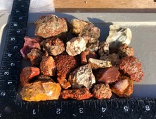 1 LB Utah Mix ~ Grape Agate Jasper Pet Wood Yellow Cat Limb Cast Raw Specimens