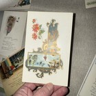 Picture 16 of 24