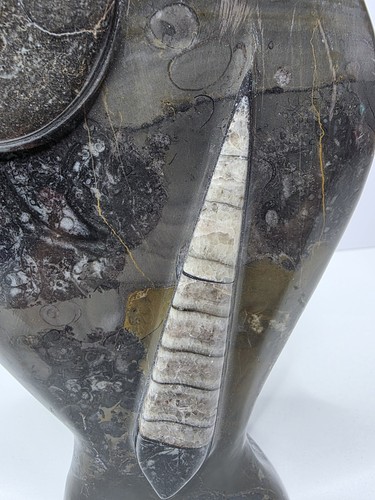 Polished Ammonenite Orthoceras 10' Plate Fossil Decorative Rock - Picture 3 of 5