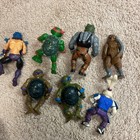 Picture 16 of 19