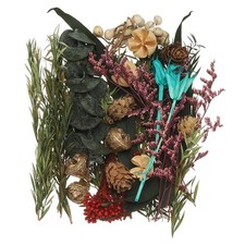Natural Dried Flower Set, Dried Pressed Flowers Flowers Pine Cones 