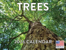 Tree Calendar 2026 Monthly Wall Calender 12 Month