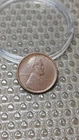 1909 Lincoln Wheat Cent Penny AU                                            Y934