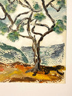 “Olive Trees” Tuscan Hills Ulrich A Frank orig watercolor & gouache 15.75 x 19.5 — photo 3