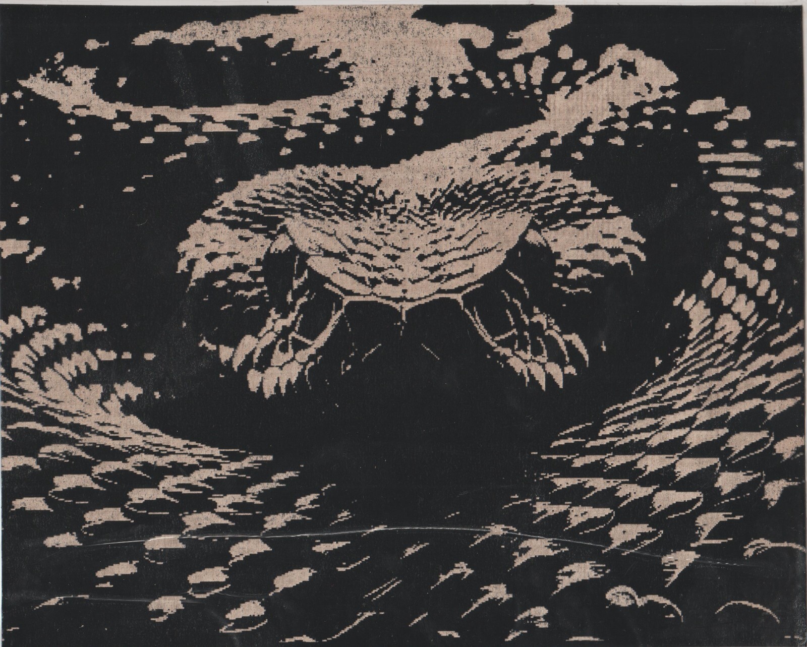 Rattlesnake Scratchboard Art 8 x 10 | eBay