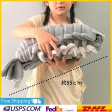 XL 55 cm Sea Creature Giant Isopod Realistic Stuffed Plush Doll Giant Isopod NEW