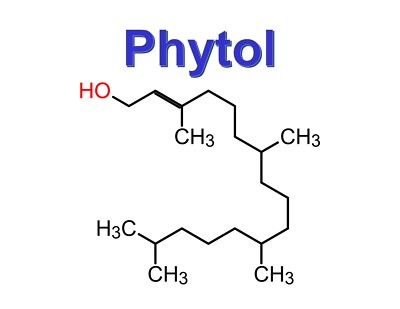 Phytol, CAS 7541-49-3