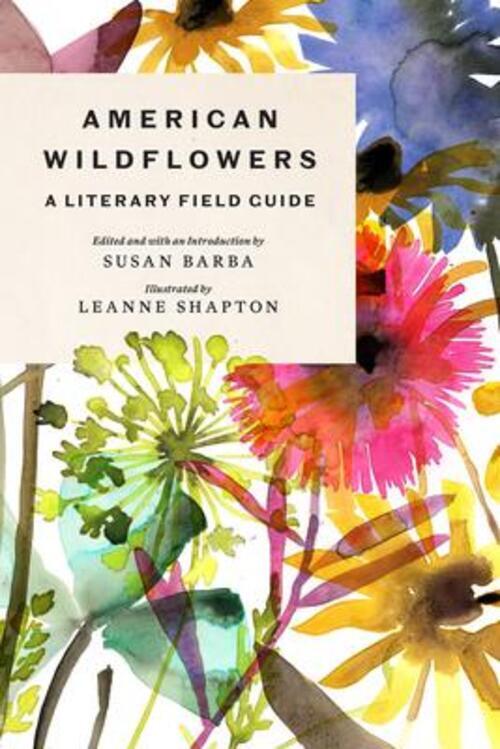 Thumbnail - American Wildflowers: A Literary Field Guide | Susan Barba | Englisch