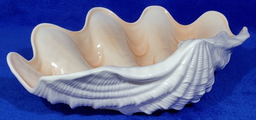 LARGE Elegant WEDGWOOD NAUTILUS COLLECTION 12" BONE CHINA CLAM SHELL~ Beautiful! - Picture 4 of 12