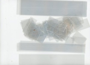 Showgard Clear Stamp Mounts Loose Assortment about an ounce