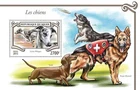 Dogs (Whippet)