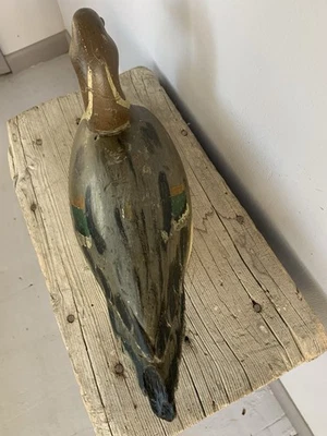 RICHARD (FRISCHER LUFTSCHWANZ) JANSON PINTAIL DRAKE KÖDER/HOLZ/JAGD - Bild 1 von 4