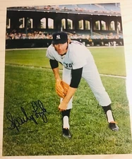 New York Yankees SPARKY LYLE autographed signed 8x10 1977 1978 WORLD SERIES auto
