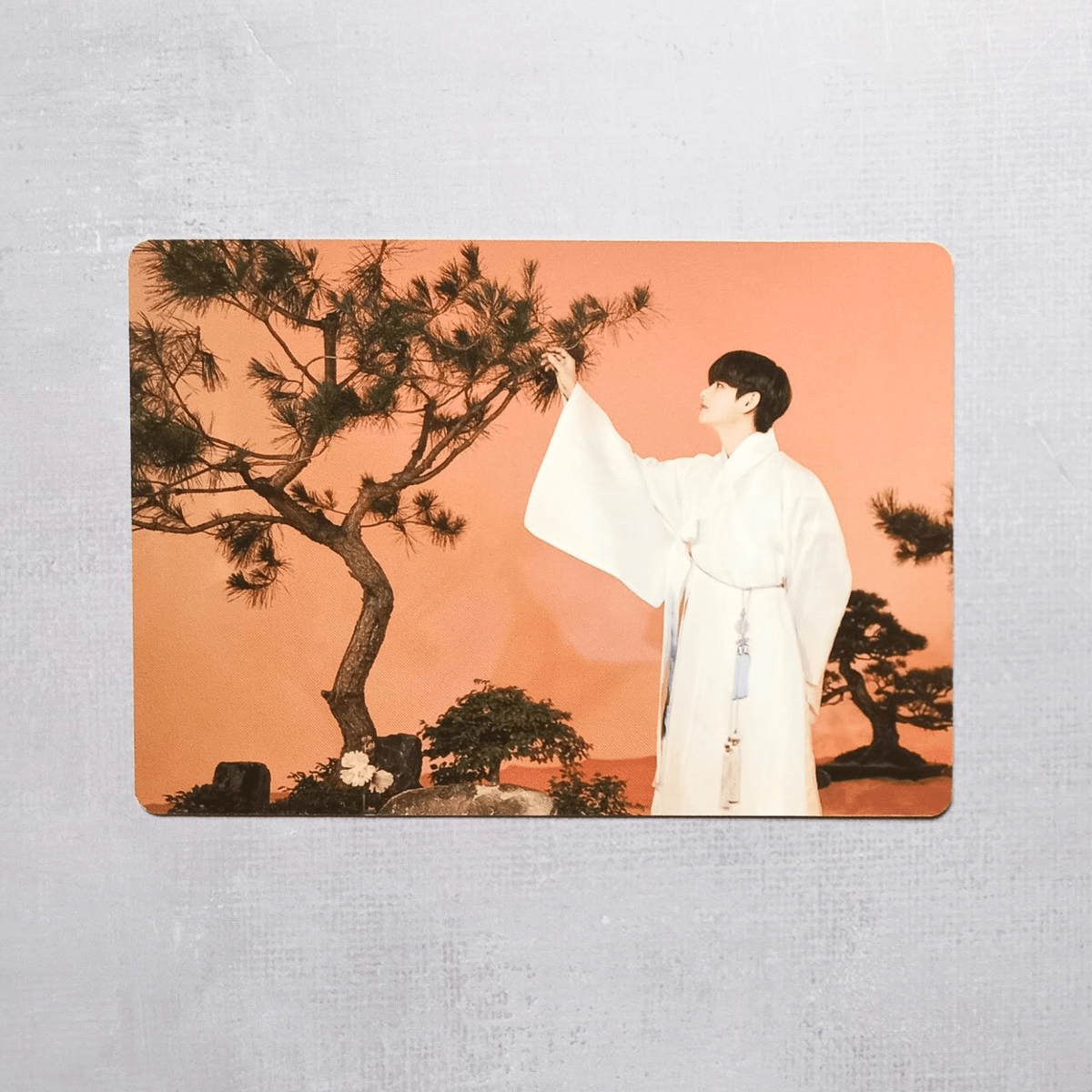 BTS Dalmajung 2021 Chuseok Special Commemorative Photo Card - V