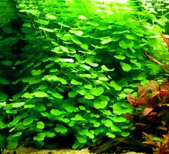 Foto 2 di 6
