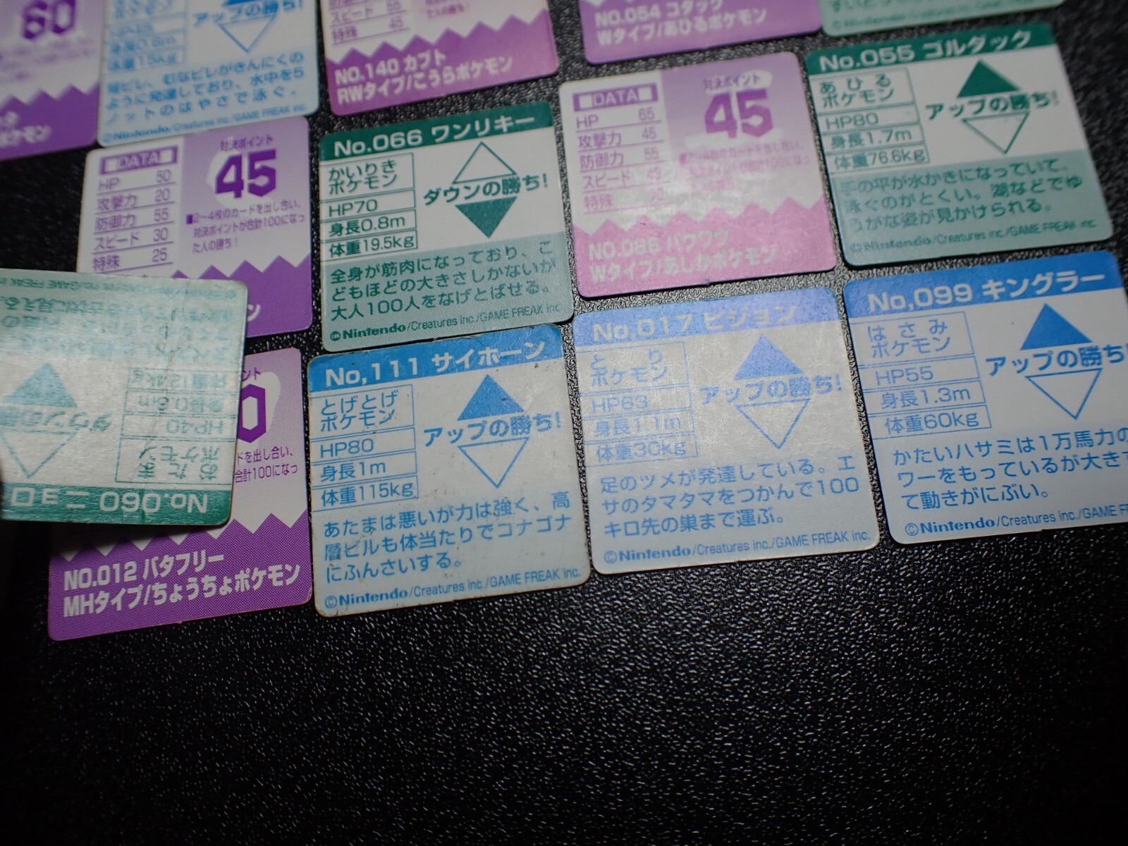 Picture 12 of 19