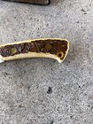Vintage 1970’s Stag Handle Hunting Knife With Gut Hook — photo 6