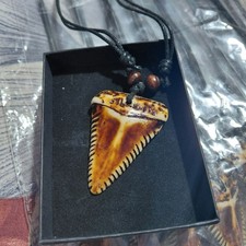 Shark Tooth Necklace Brown Black