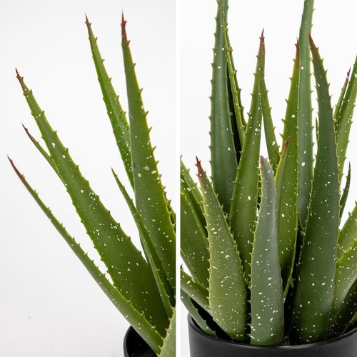 16.5" Large Artificial Succulent Aloe Plant Faux Potted Aloe in Black Pot - Picture 2 of 5
