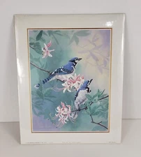 Chris Forrest Cardinal 8×10 Print 1994 Arthur A.  Kaplan co, INC, N.Y.C  FL7756