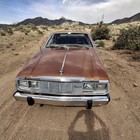 1983 AMC DL