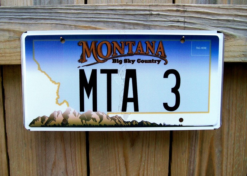 EXPIRED MONTANA MTA 3 FRONT BIG SKY Country Mount. Low Number License Plate Tag