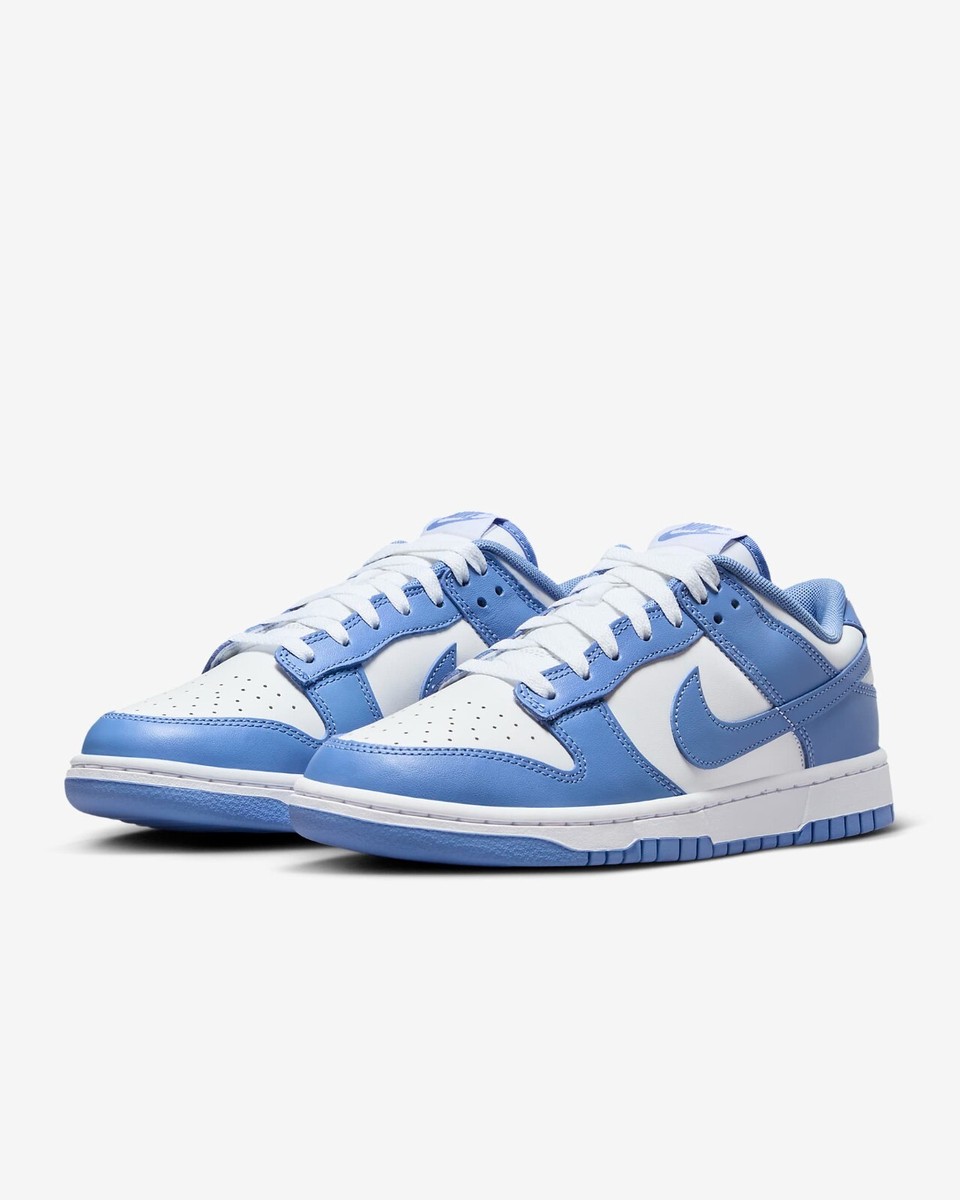 Nike Dunk Low Retro Sneakers Shoes Polar Blue/White DV0833