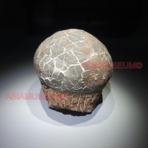 Dinosaur Egg Nest Dendrolithus Hadrosaur Duckbill Fossil Jurassic Park World GU3 - Picture 4 of 11