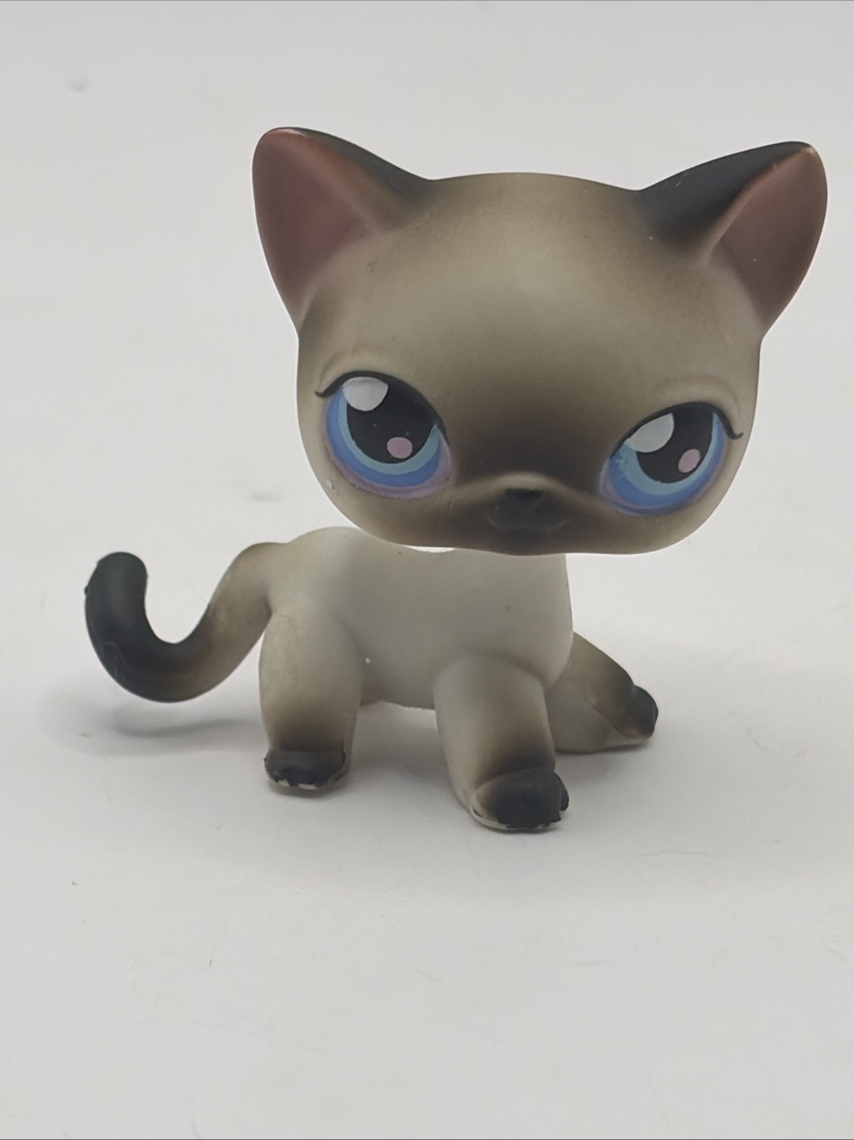 Authentic Littlest Pet Shop  #5 Siamese Shorthair Brown White Blue Eye Cat LPS