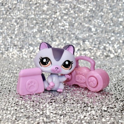 Littlest Pet Shop Authentic LPS #1622 Purple Raccoon Brown Eyes (Biggest Stars)