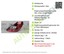 Bild 3 von 8